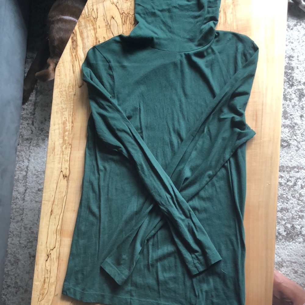 Forest green turtle neck JCrew